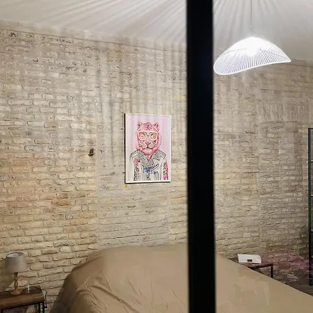 Appartement Loft Atypique Dunkerque Centre